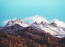 九游体育篮球比分-韦林顿·席尔瓦：感谢成都的口腔医生让我及时回到赛场